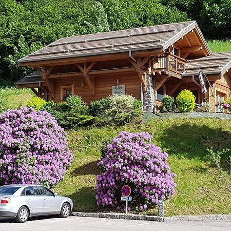 Les Chalets Des Chatelmines La Bresse Exterior photo