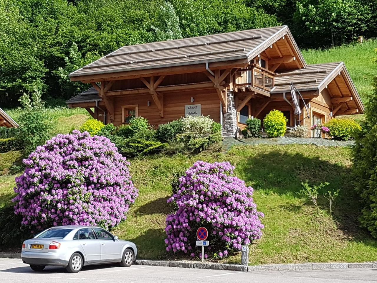 Les Chalets Des Chatelmines La Bresse Exterior photo
